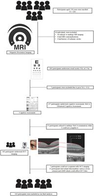 Retinal ganglion cell-inner plexiform layer, white matter hyperintensities, and their interaction with cognition in older adults